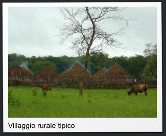 Villaggio rurale tipico