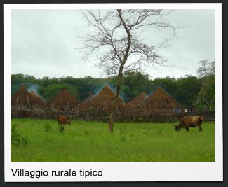 Villaggio rurale tipico